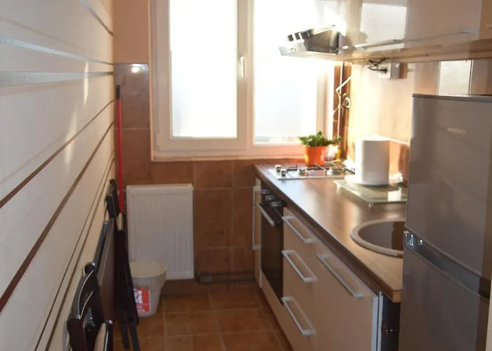 Simina Appartement Timişoara